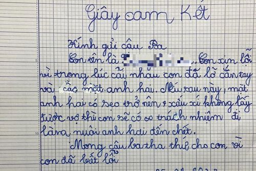 Bật cười với nguyên nhân đằng sau giấy cam kết 'nuôi anh hai' của bé gái lớp 1