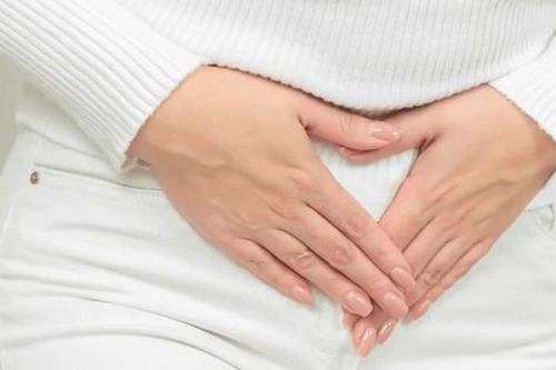 Lá Nhội - Thảo dược quý hỗ trợ ngăn ngừa vi khuẩn gây viêm nhiễm phụ khoa