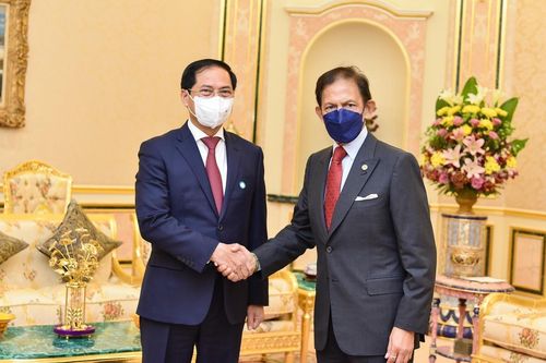 Thúc đẩy quan hệ Việt Nam-Brunei phát triển thực chất, sâu rộng