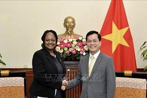 Việt Nam - Hoa Kỳ thúc đẩy quan hệ đối tác toàn diện đi vào chiều sâu, hiệu quả