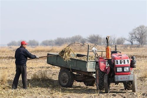 Thời tiết nắng nóng đe dọa sản xuất lương thực toàn cầu