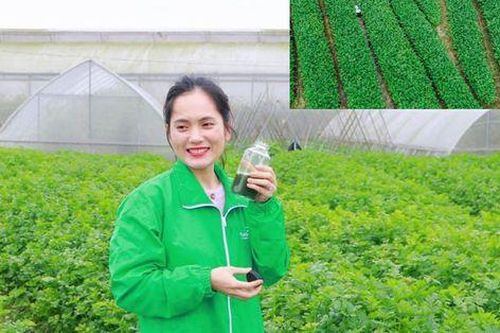 Thành công từ sản phẩm dành cho 'lối sống xanh'