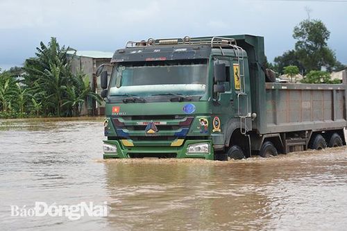 Hơn 1,1 ngàn hộ dân phường Phước Tân và nhiều tài sản bị ảnh hưởng do ngập