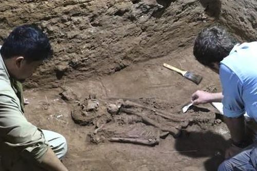 Phát hiện bằng chứng về phẫu thuật đoạn chi trong hang động Indonesia