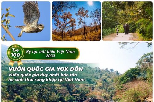 Vườn quốc gia Yok Đôn và Hang Sơng lọt vào danh sách 20 Kỷ lục Bất biến tiếp theo của Việt Nam