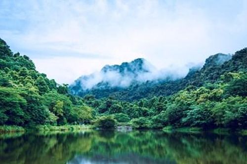 Cần khai thác tổng hợp đa giá trị từ hệ sinh thái rừng