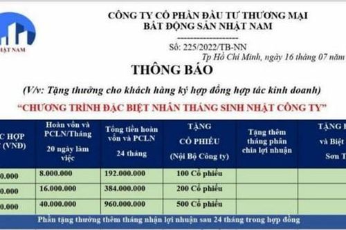 Yêu cầu làm rõ việc huy động vốn của Nhật Nam