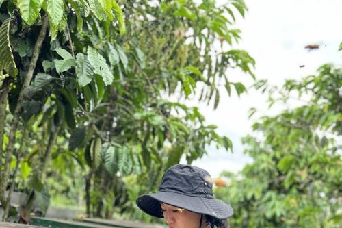 Lý giải nguyên do cho sức hút của Thuận Thiên - shop 2 Chị Em
