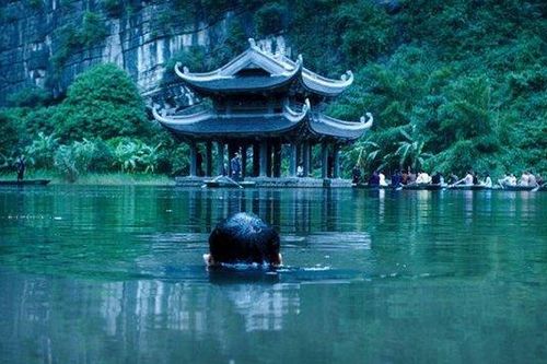 Phim có sự tham gia của Hoa hậu H'Hen Niê tranh giải tại LHP quốc tế