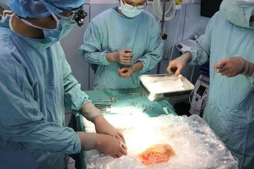 Thực hiện thành công ca ghép thận cho bé trai 15 tuổi từ cô gái chết não
