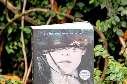 Tiểu thuyết của Delia Owens chạm trái tim