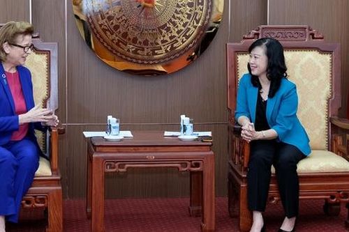 Quyền Bộ trưởng Bộ Y tế Đào Hồng Lan tiếp Trưởng Đại diện UNDP tại Việt Nam