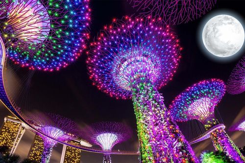 Tết Trung thu đa dạng sắc màu ở Singapore