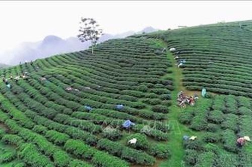 Ban hành quy chế hoạt động của Hội đồng điều phối vùng trung du và miền núi phía Bắc