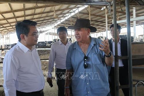 Tìm hiểu mô hình kinh tế tập thể, hợp tác xã tại Israel