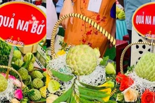 3 quả na gần 160 triệu đồng: Vì sao được trả giá cao ngất ngưởng?