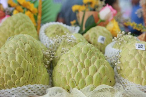 Ngắm na hoàng hậu nặng hơn 1 kg tại Lạng Sơn