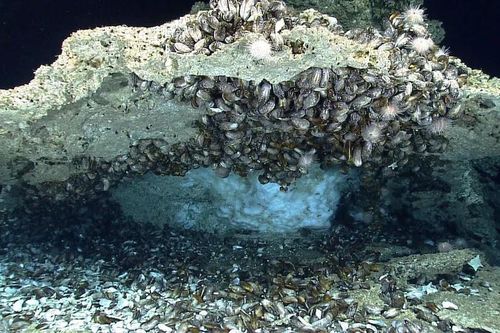 Lo ngại lượng khổng lồ khí nhà kính nguy hiểm hơn CO2 thoát khỏi biển