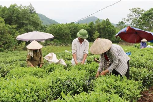 Nhân tố thúc đẩy phát triển nông nghiệp, nông thôn