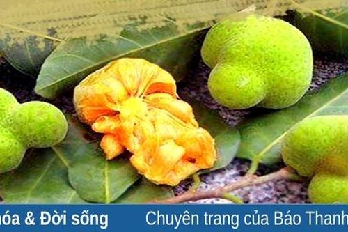 Mùa chay quê nhà!
