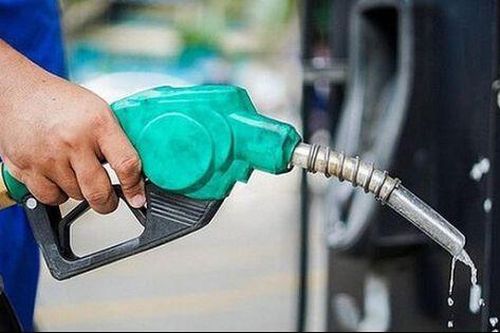 Công ty xăng dầu ở Cà Mau đạt 2 nghìn tỷ doanh thu trước khi bị phạt nặng