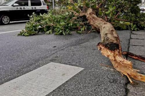 Một cơn bão cực mạnh đang hướng về phía Nam Nhật Bản