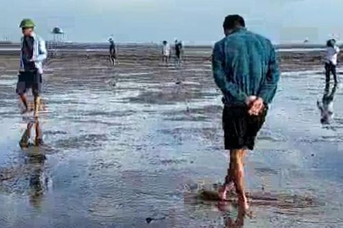 Tàu chở dầu Hà An bị chìm, ngao chết nổi trắng bãi biển Thái Bình