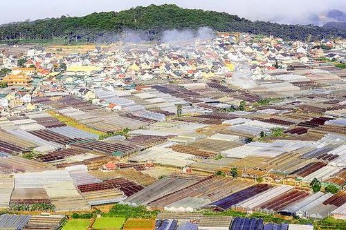 Công nghệ cao không gắn liền với nhà kính