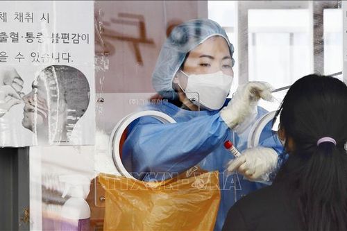 Hàn Quốc: Cảnh báo 'nguy cơ kép' về dịch bệnh vào mùa Thu - Đông