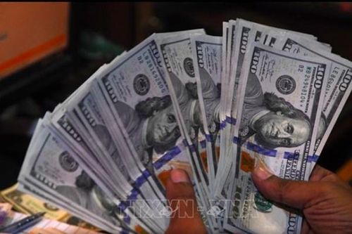 EBRD hỗ trợ Ai Cập 1 tỷ USD thúc đẩy chuyển đổi năng lượng