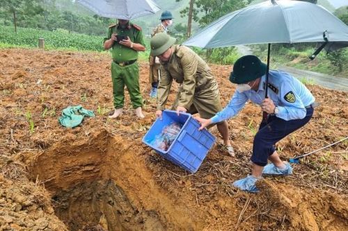 Tiêu hủy sản phẩm động vật không rõ nguồn gốc xuất xứ