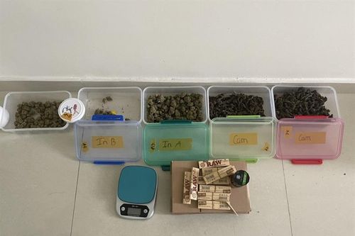 'Đầu nậu' chuyên cung cấp cần sa cho sinh viên