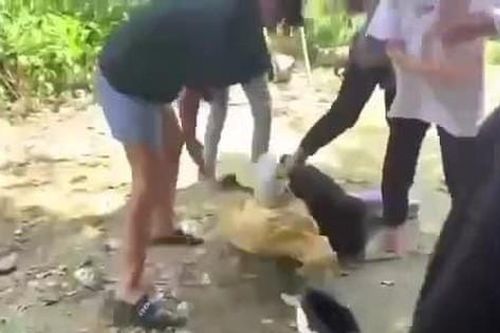 Đồng Nai: Nữ sinh bị đánh hội đồng, lột đồ giữa đường