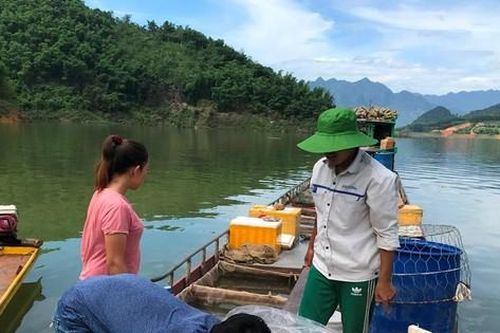 Mưu sinh trên hồ Hòa Bình, bài 2: Săn loài cá lạ