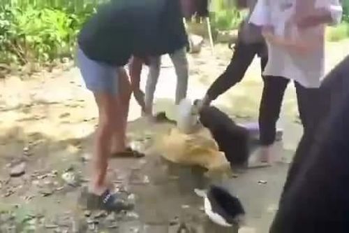 2 nữ sinh bị đánh trước sự chứng kiến của nhiều người