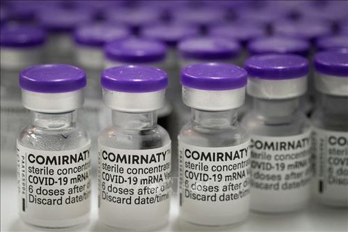 EMA phê duyệt vaccine ngừa các biến thể phụ của Omicron