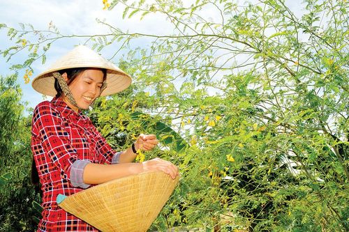 Quà của lũ!