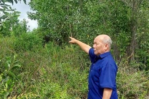 Một phán quyết 'kỳ lạ' của tòa huyện Bình Chánh