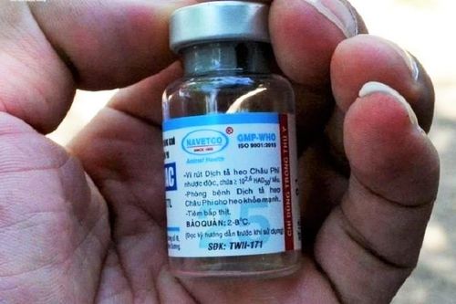 Lợn chết sau khi tiêm vaccine: Sở NN&PTNT Quảng Ngãi nói gì?