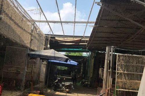 Tiểu thương chợ Hà Vỹ tháo dỡ công trình vi phạm kiểu… đối phó