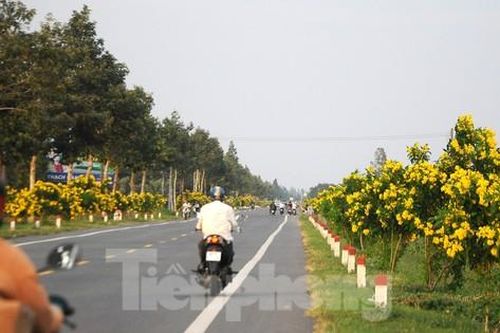 3.888 tỷ đồng mở rộng quốc lộ nối Cần Thơ - Hậu Giang