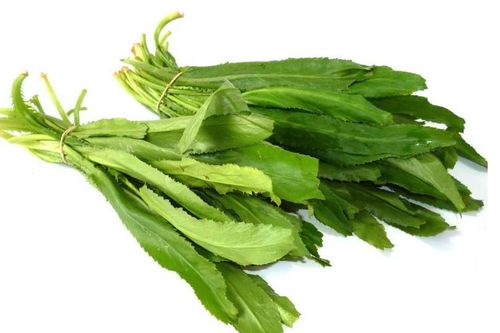 Loại rau quen thuộc trong vườn giúp hạ mỡ máu, hỗ trợ điều trị sỏi thận