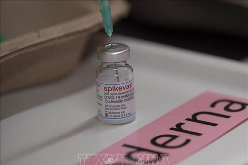 Singapore cấp phép sử dụng vaccine COVID-19 đầu tiên có hiệu quả với nhiều biến thể
