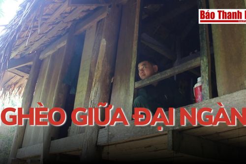 Nghèo giữa đại ngàn...