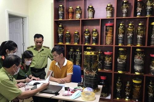 QLTT Hà Nội: Tạm giữ gần 1000 lít rượu không rõ nguồn gốc xuất xứ