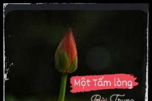 Một tấm lòng