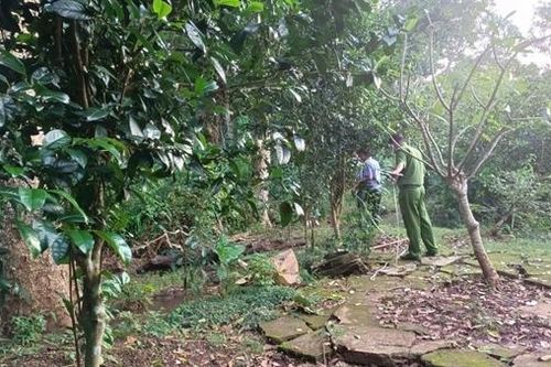 Điều tra vụ thi thể người đàn ông đang phân hủy mới được phát hiện