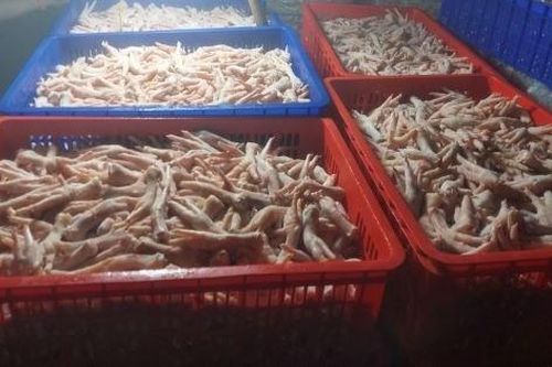 Đề xuất tiêu hủy hơn 3 tấn chân gà nhập lậu