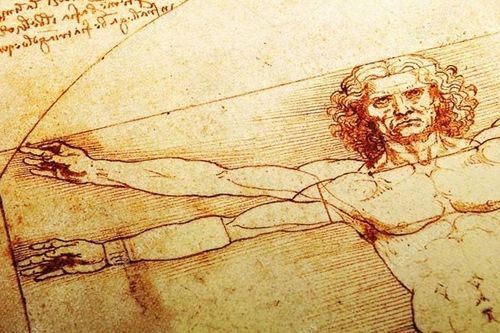 Lý do 'Người Vitruvius' trở thành biểu tượng của một kỷ nguyên lịch sử