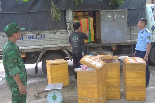 Tiêu hủy hàng trăm kg thịt lợn đông lạnh đã bốc mùi